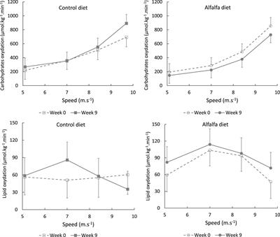 Effect of high-starch or high-fibre diets on the energy metabolism and physical performance of horses during an 8-week training period